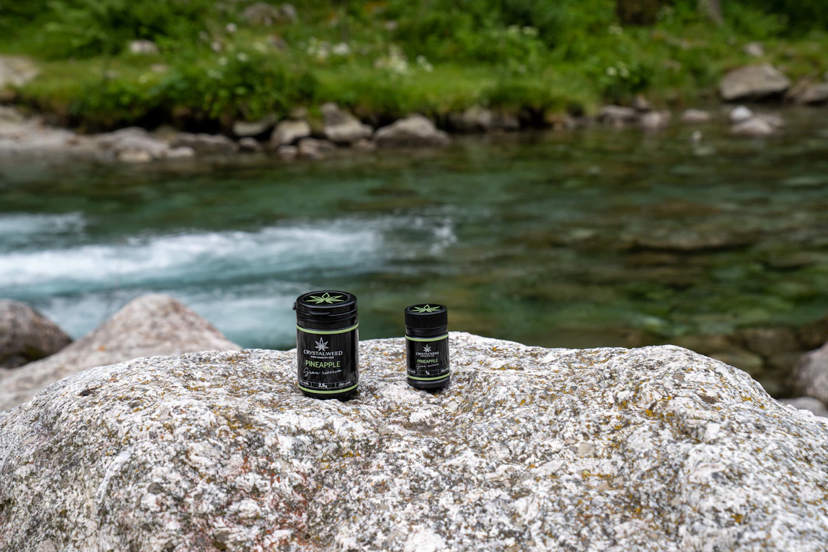 Two Wasatch Botanics jars on a rock beside a mountain stream